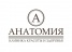 Анатомия