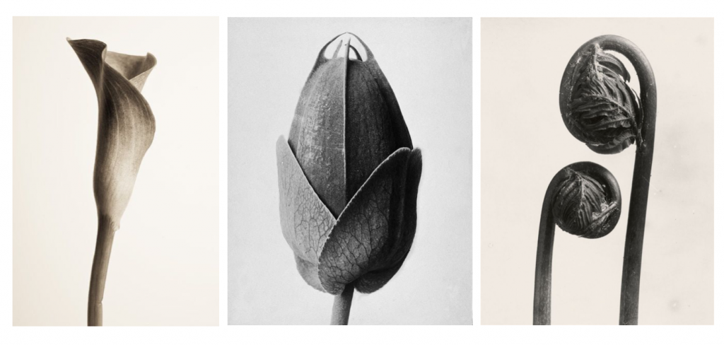 Doctor Zhivago SS22.png